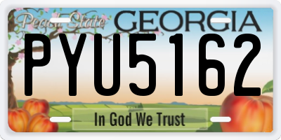 GA license plate PYU5162