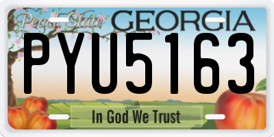 GA license plate PYU5163