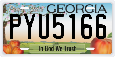 GA license plate PYU5166
