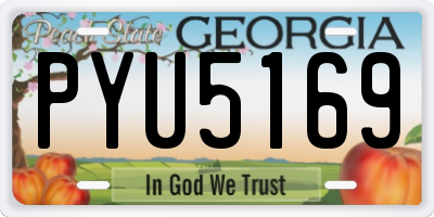 GA license plate PYU5169