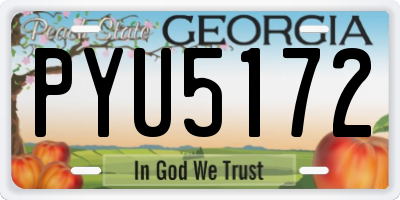 GA license plate PYU5172