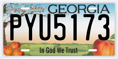 GA license plate PYU5173