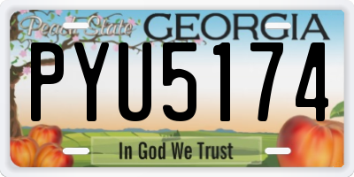 GA license plate PYU5174