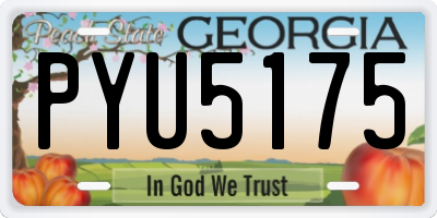 GA license plate PYU5175