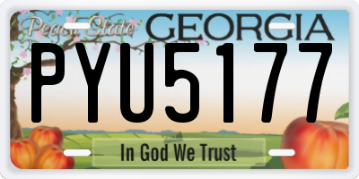 GA license plate PYU5177