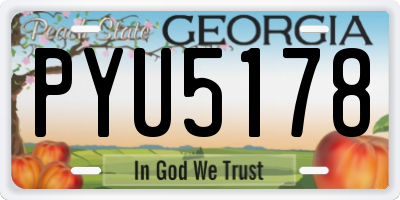 GA license plate PYU5178