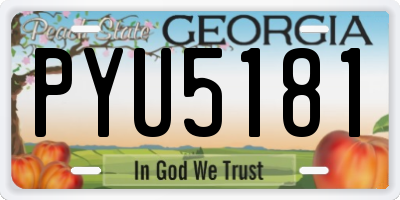 GA license plate PYU5181