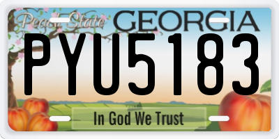 GA license plate PYU5183