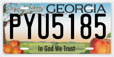 GA license plate PYU5185