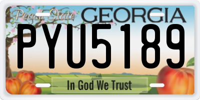 GA license plate PYU5189