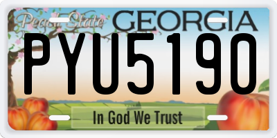 GA license plate PYU5190