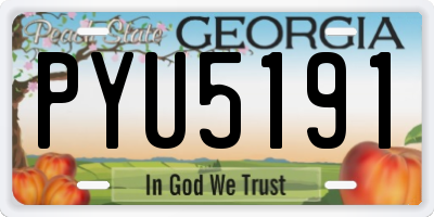 GA license plate PYU5191