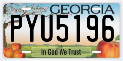 GA license plate PYU5196