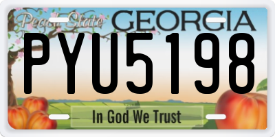 GA license plate PYU5198