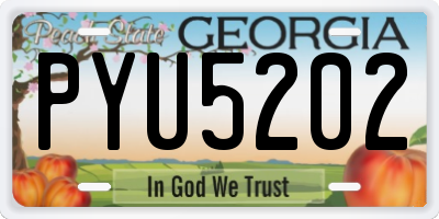 GA license plate PYU5202