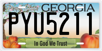 GA license plate PYU5211