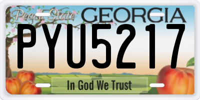GA license plate PYU5217