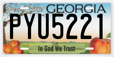 GA license plate PYU5221