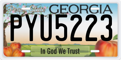 GA license plate PYU5223
