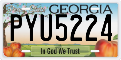 GA license plate PYU5224