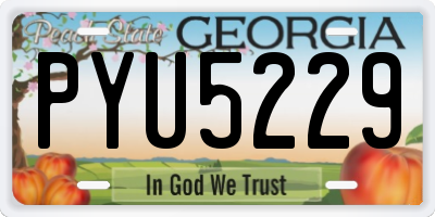 GA license plate PYU5229