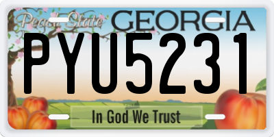 GA license plate PYU5231