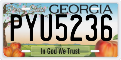 GA license plate PYU5236
