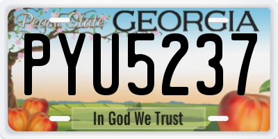 GA license plate PYU5237