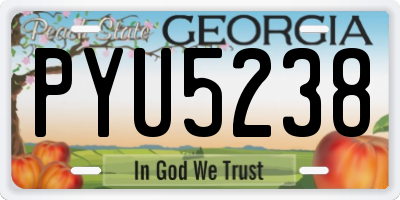 GA license plate PYU5238