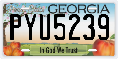GA license plate PYU5239