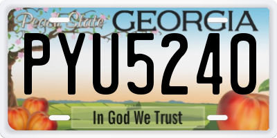GA license plate PYU5240