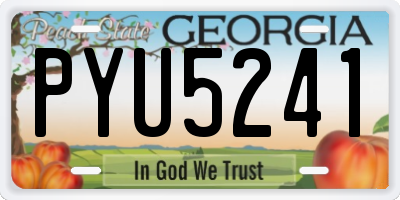 GA license plate PYU5241