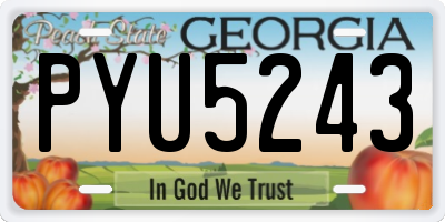 GA license plate PYU5243