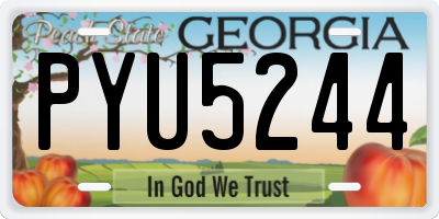 GA license plate PYU5244