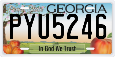 GA license plate PYU5246