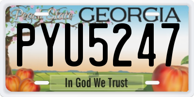 GA license plate PYU5247