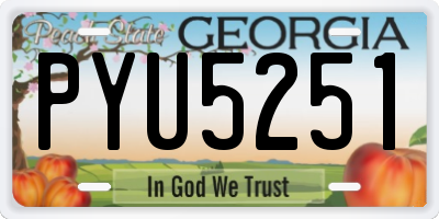 GA license plate PYU5251