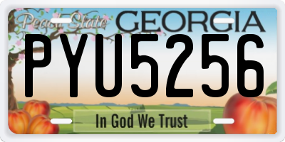 GA license plate PYU5256