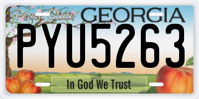 GA license plate PYU5263
