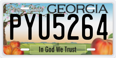 GA license plate PYU5264