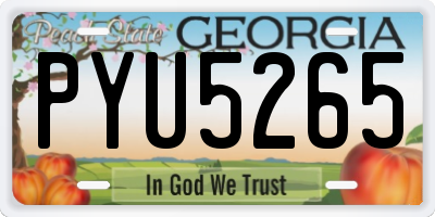 GA license plate PYU5265