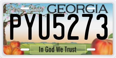 GA license plate PYU5273