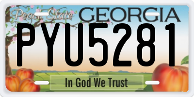 GA license plate PYU5281