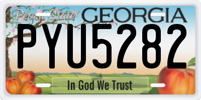 GA license plate PYU5282