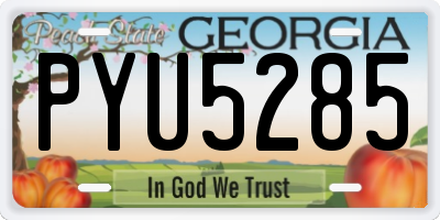 GA license plate PYU5285