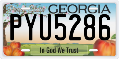 GA license plate PYU5286