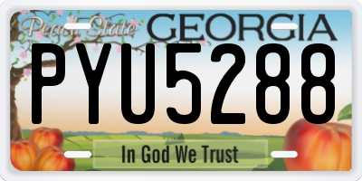 GA license plate PYU5288