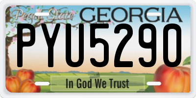 GA license plate PYU5290