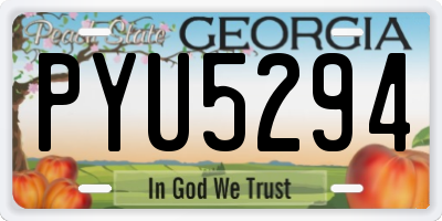 GA license plate PYU5294