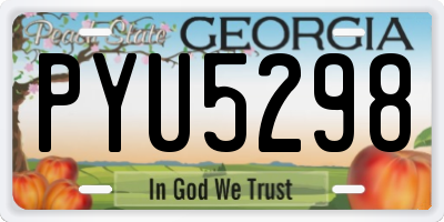 GA license plate PYU5298